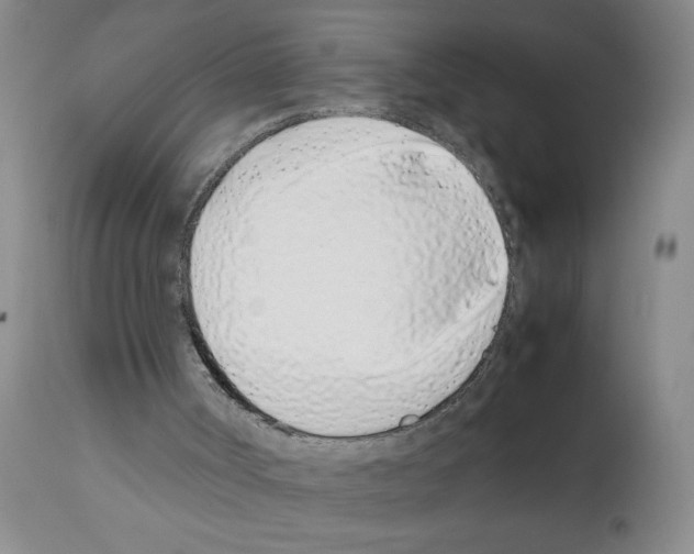 X0000111490002200908251037