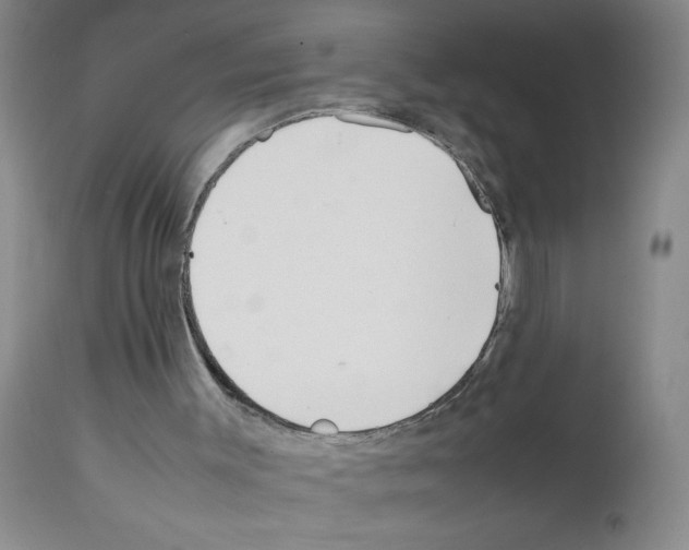 X0000111490003200908251037