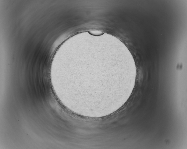 X0000111490004200908251037