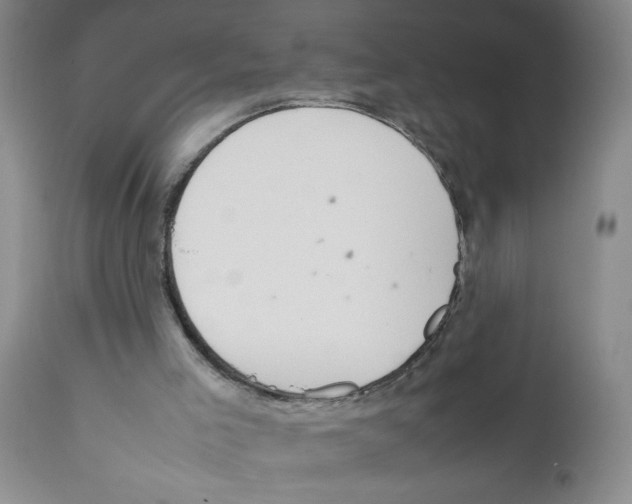 X0000111490005200908251037