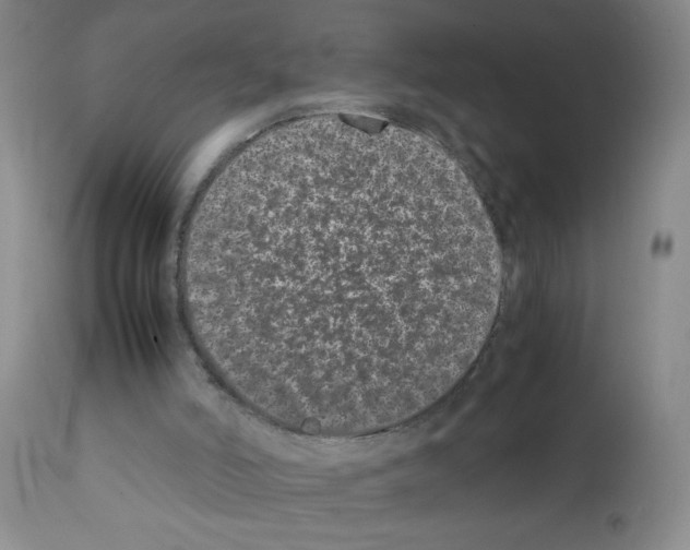X0000111490006200908251037