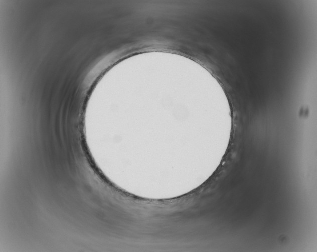 X0000111490007200908251037