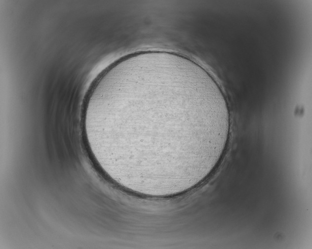 X0000111490008200908251037