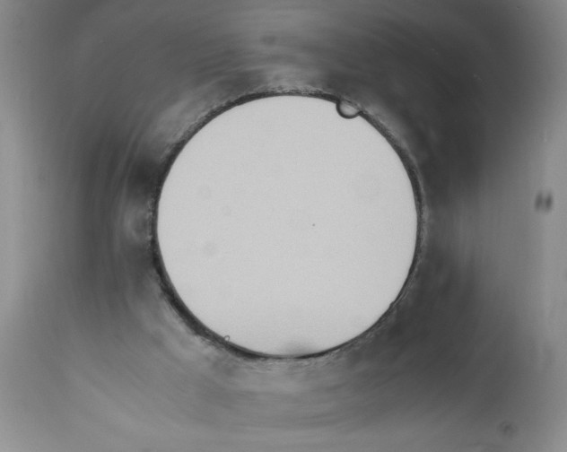 X0000111490009200908251037