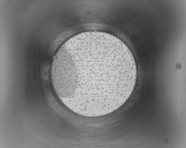 X0000111490010200908251037