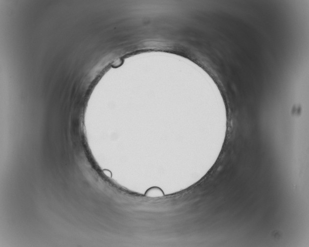 X0000111490011200908251037