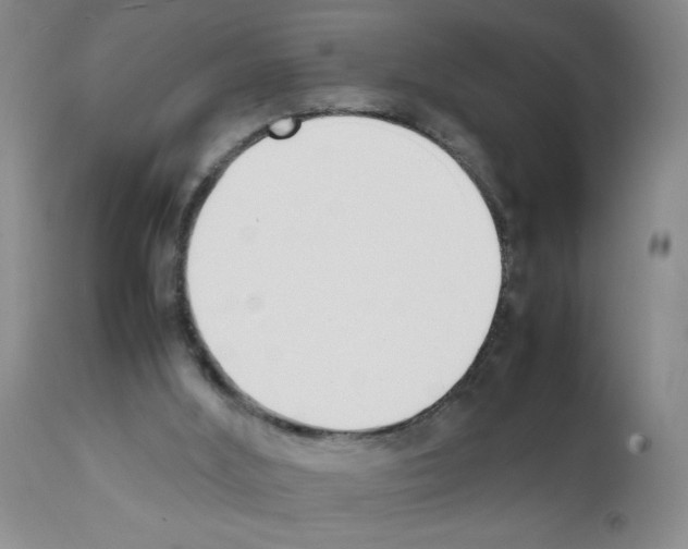 X0000111490012200908251036
