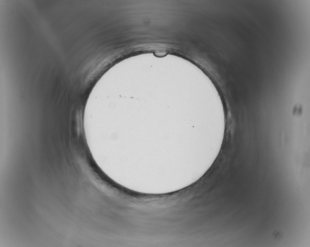 X0000111490013200908251036