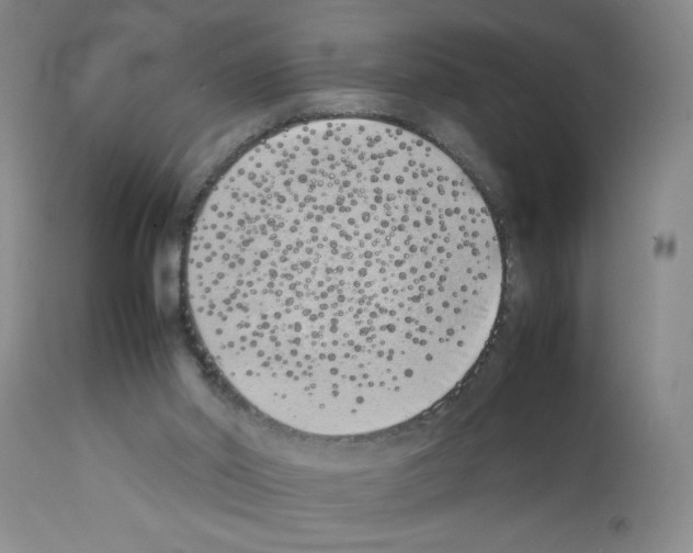 X0000111490014200908251036