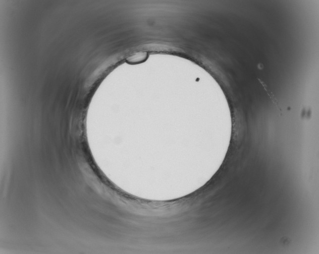 X0000111490015200908251036