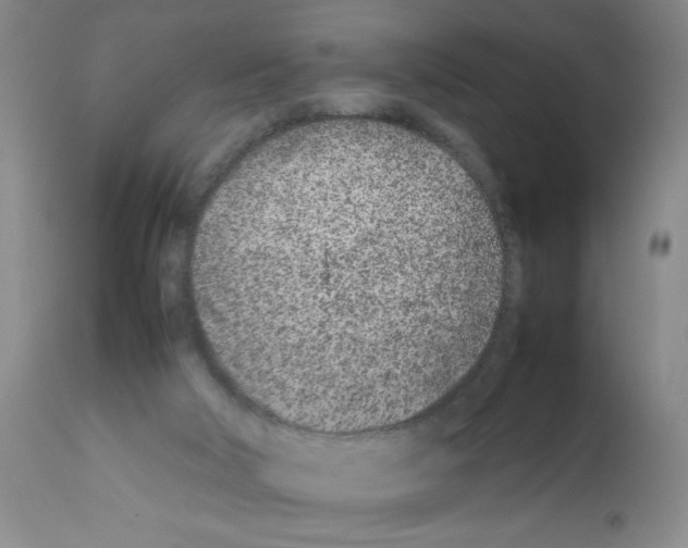 X0000111490018200908251036