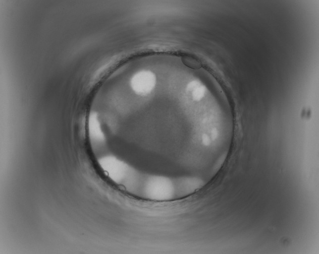 X0000111490019200908251036