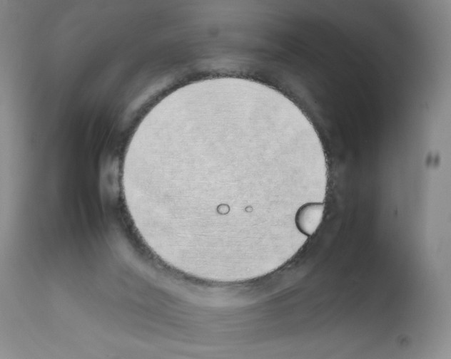 X0000111490020200908251036