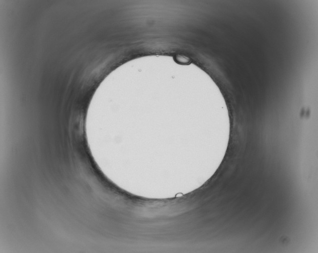 X0000111490021200908251036