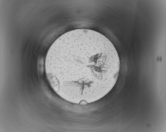 X0000111490022200908251036