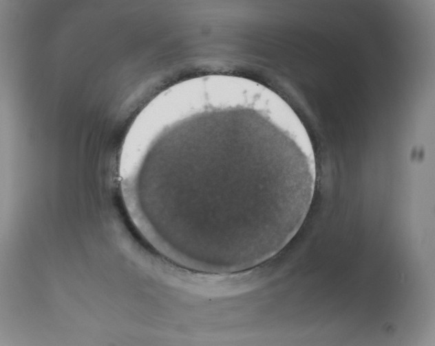 X0000111490023200908251036