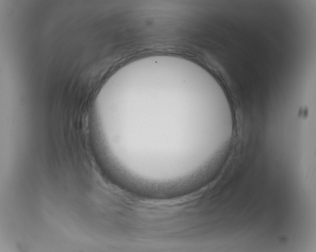 X0000111490025200908251036