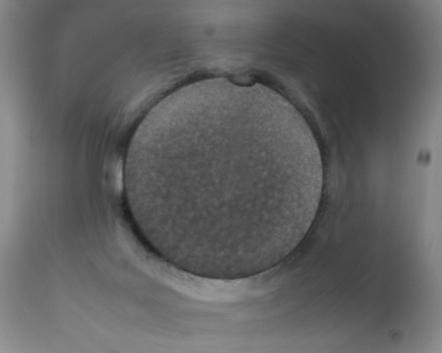 X0000111490027200908251036