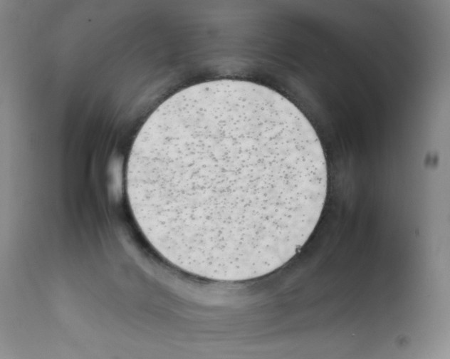 X0000111490028200908251036