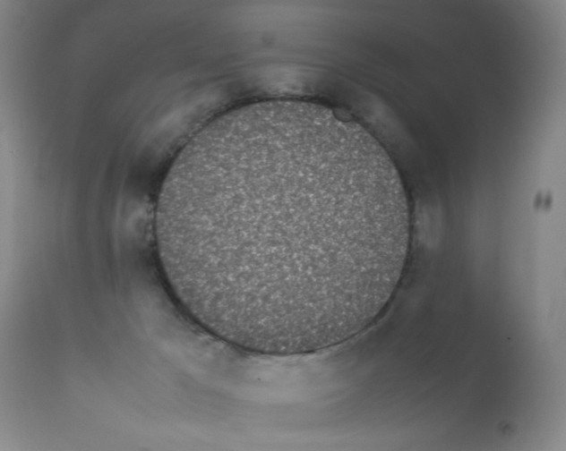 X0000111490029200908251036
