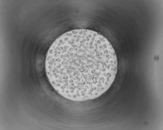 X0000111490030200908251036