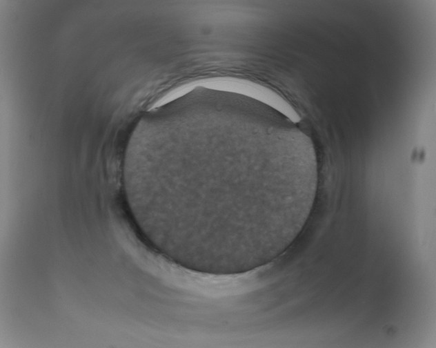 X0000111490031200908251036