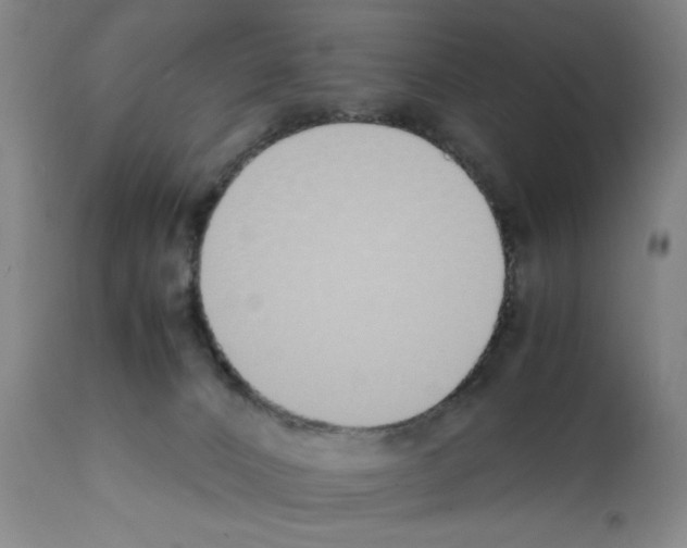 X0000111490032200908251036