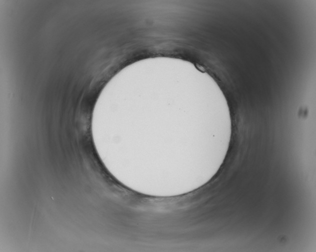 X0000111490033200908251036