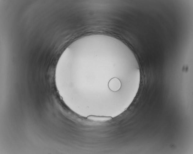 X0000111490036200908251036