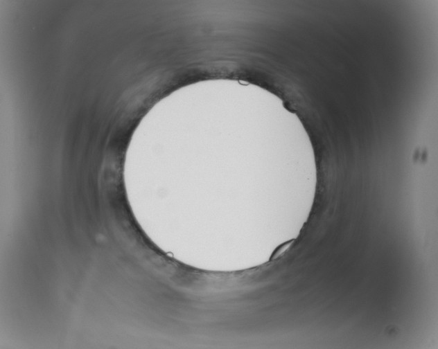 X0000111490037200908251036