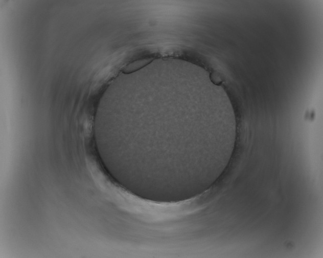 X0000111490039200908251036