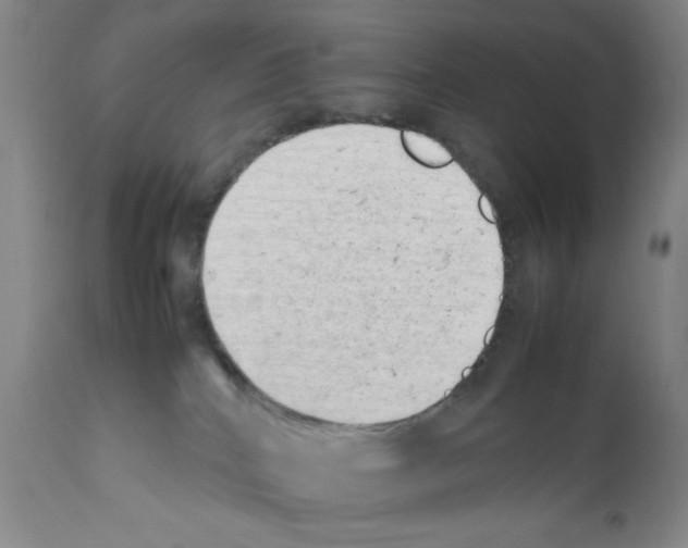 X0000111490040200908251036