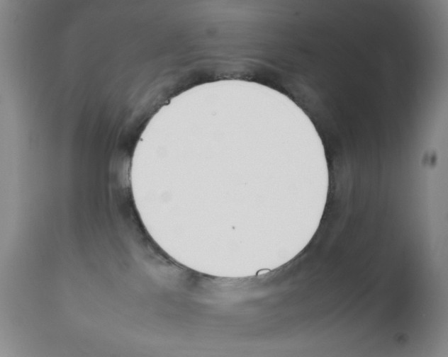 X0000111490041200908251036