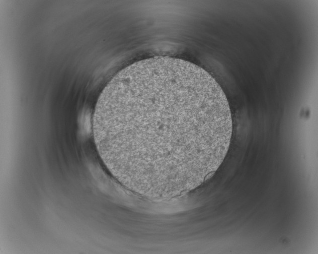 X0000111490042200908251036