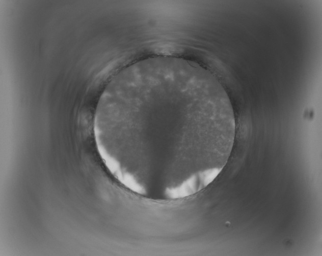 X0000111490043200908251036