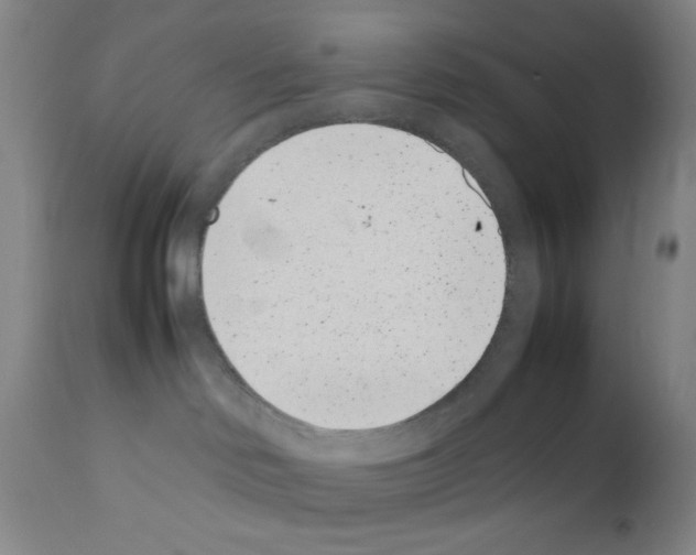 X0000111490046200908251036
