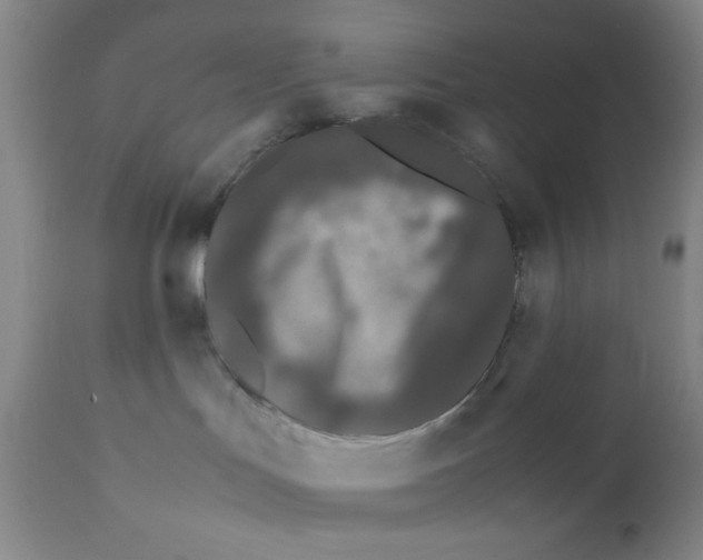 X0000111490047200908251036