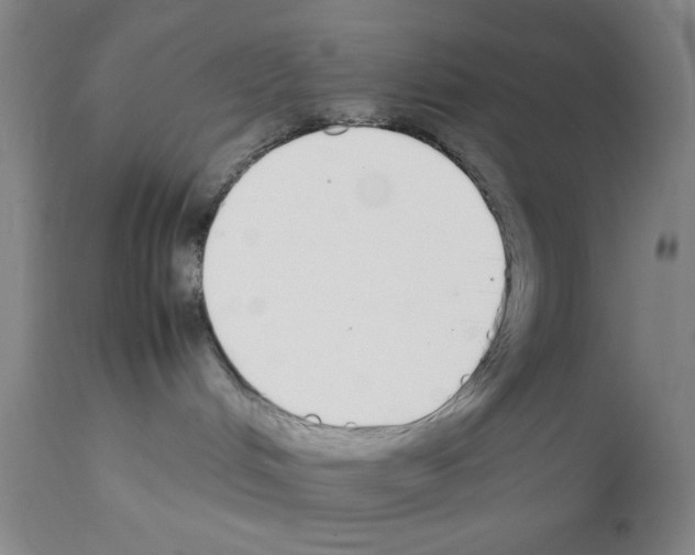 X0000111490048200908251036