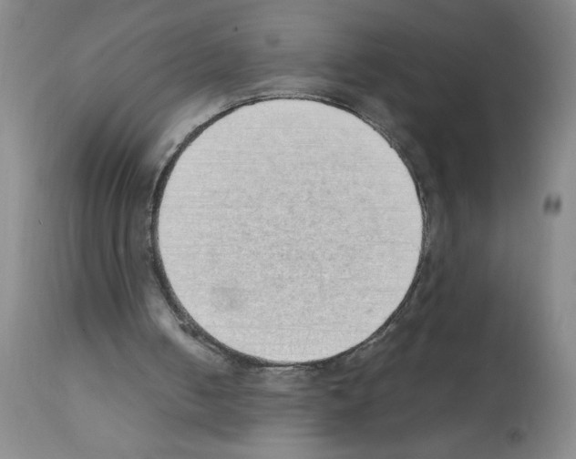 X0000111490050200908251035