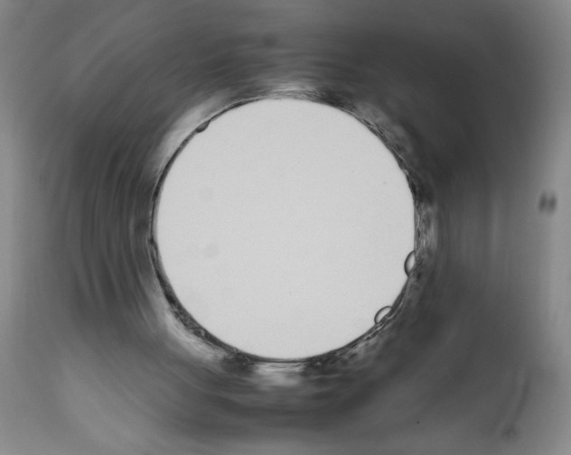 X0000111490051200908251035