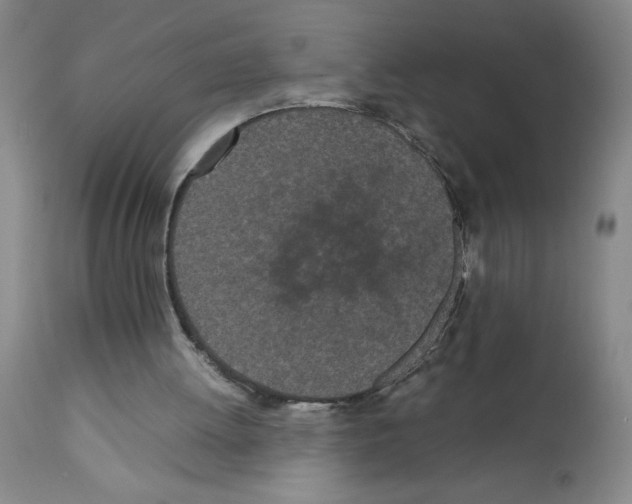 X0000111490052200908251035