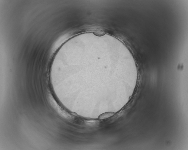 X0000111490053200908251035
