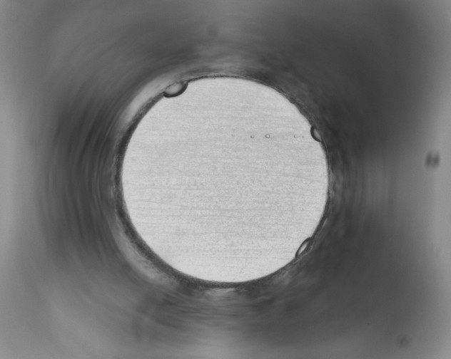 X0000111490054200908251035