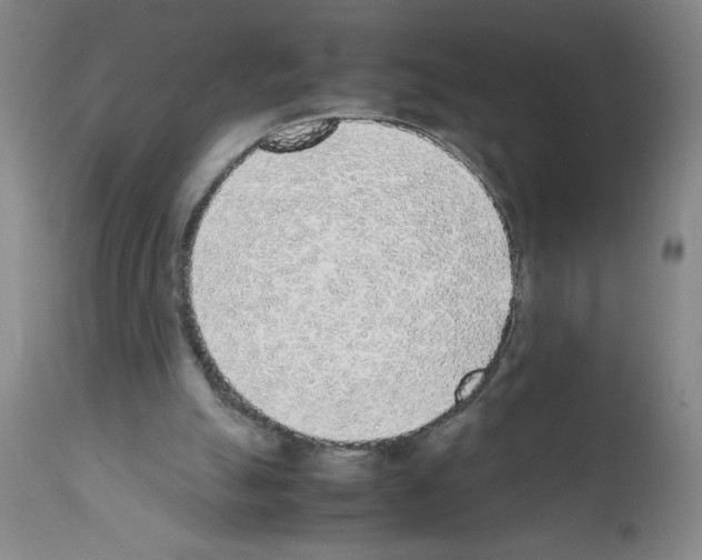 X0000111490055200908251035
