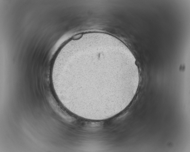 X0000111490056200908251035