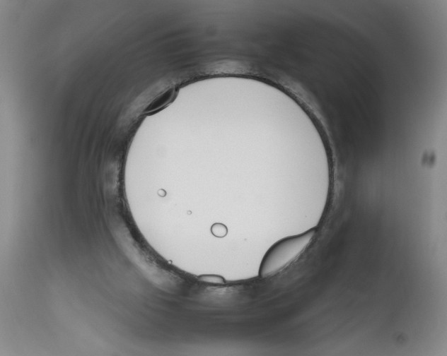 X0000111490057200908251035