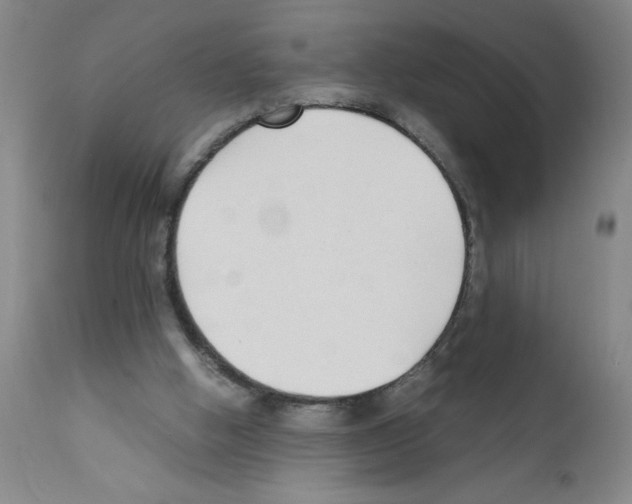 X0000111490058200908251035