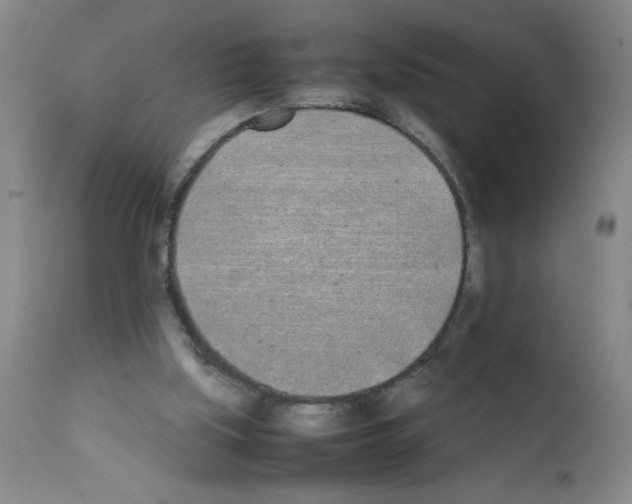 X0000111490059200908251035