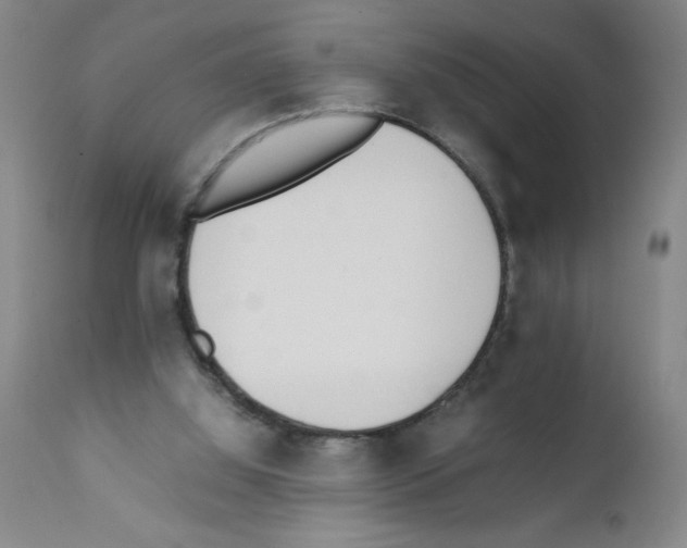 X0000111490060200908251035