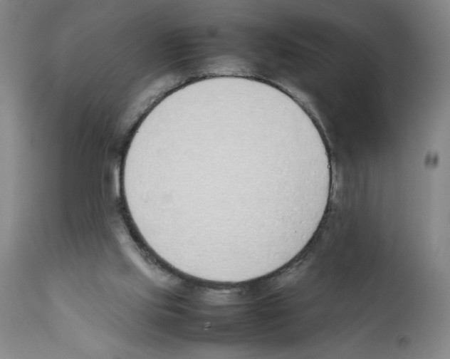 X0000111490061200908251035